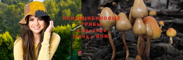 стафф Беломорск
