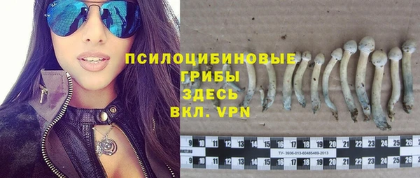 наркотики Белокуриха