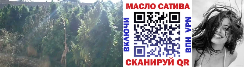 Дистиллят ТГК THC oil  Купить закладки  Харовск 