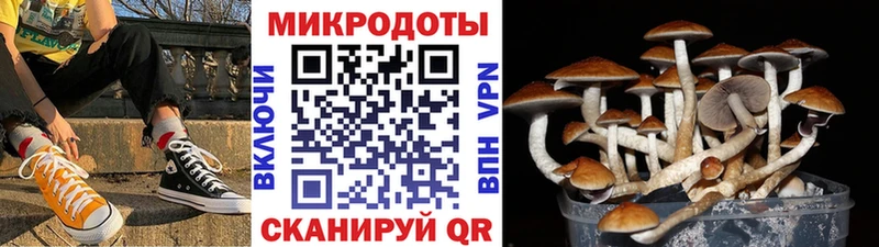 Псилоцибиновые грибы мухоморы Харовск