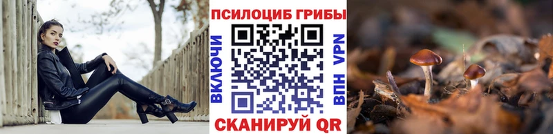 Купить  Харовск  Псилоцибиновые грибы мухоморы 